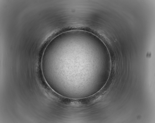 X0000091970591200709201407