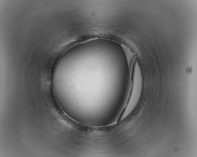 X0000091970593200709201407