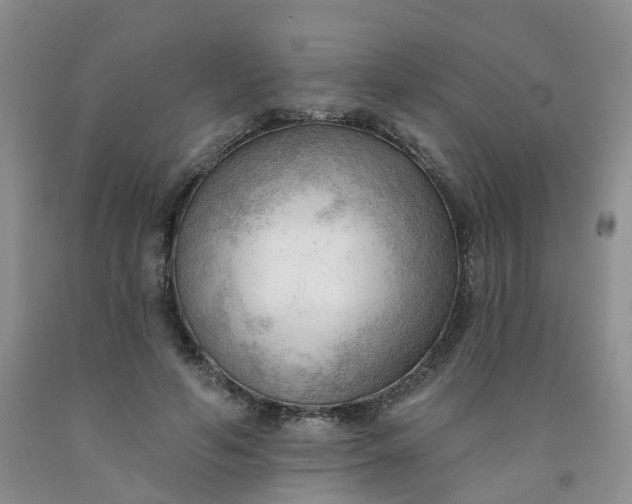 X0000091970594200709201407