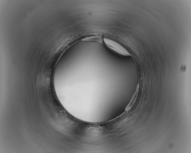 X0000091970595200709201407