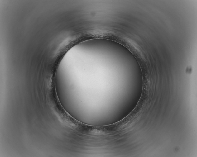 X0000091970596200709201407