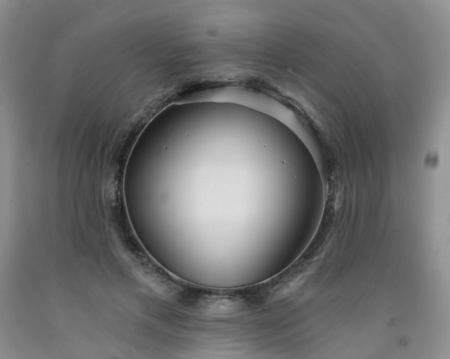 X0000091970597200709201407