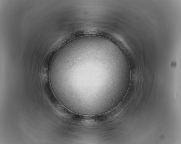 X0000091970598200709201407