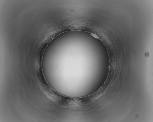 X0000091970599200709201407