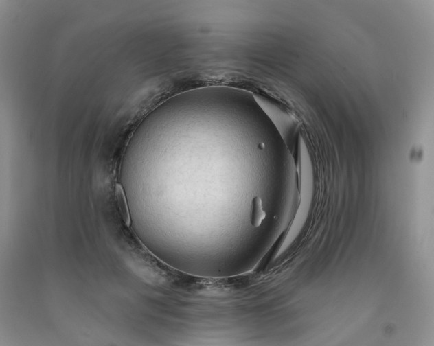 X0000091970601200709201407
