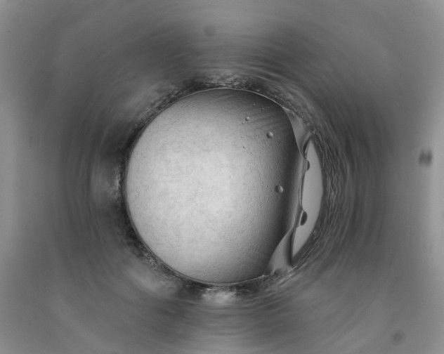 X0000091970602200709201407