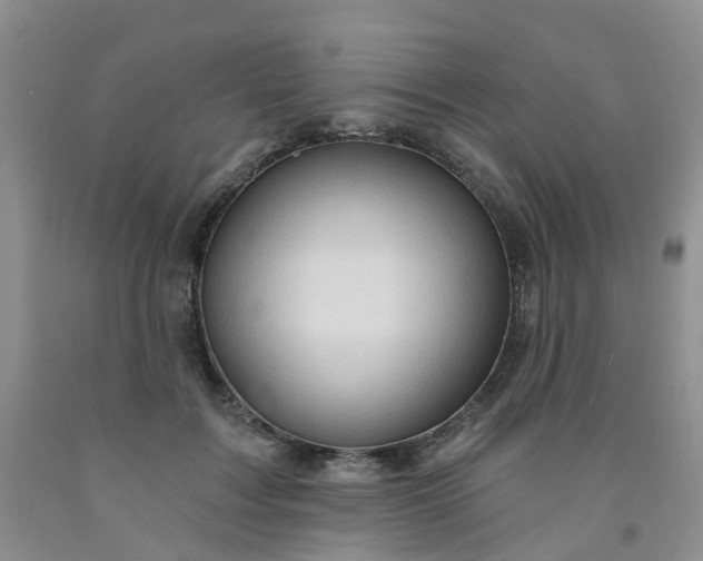 X0000091970603200709201407