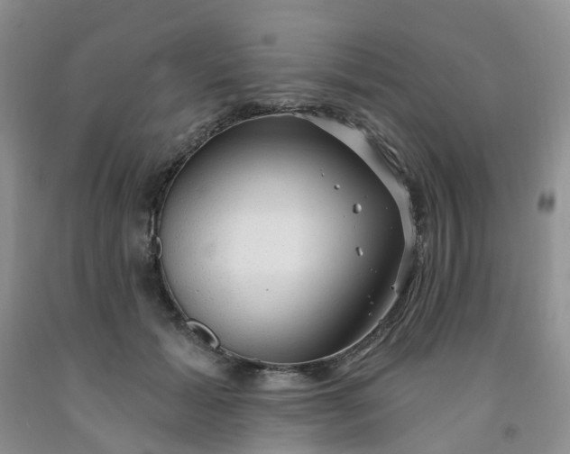 X0000091970605200709201407