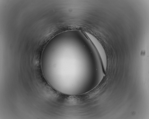 X0000091970608200709201407