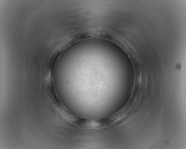 X0000091970610200709201407