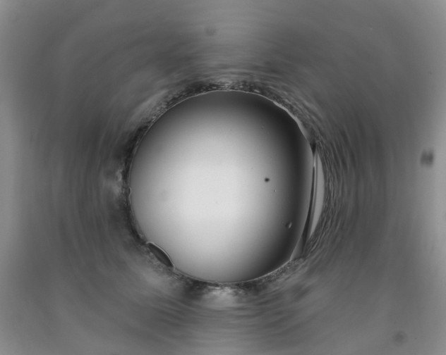 X0000091970611200709201407