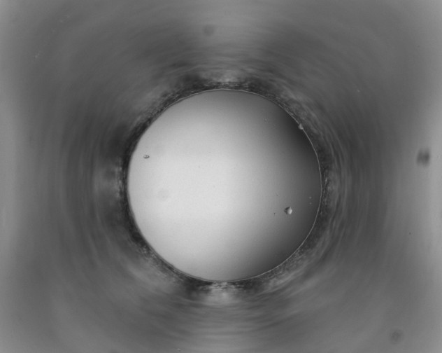 X0000091970612200709201407