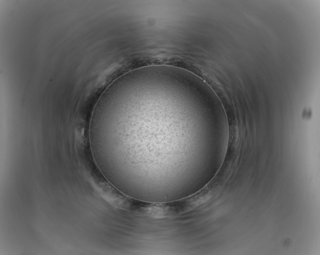 X0000091970615200709201406
