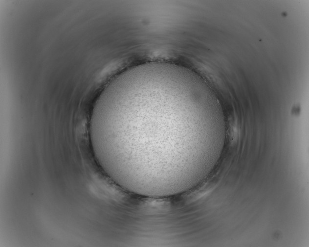 X0000091970619200709201406