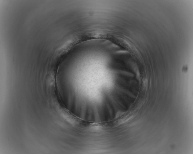 X0000091970620200709201406