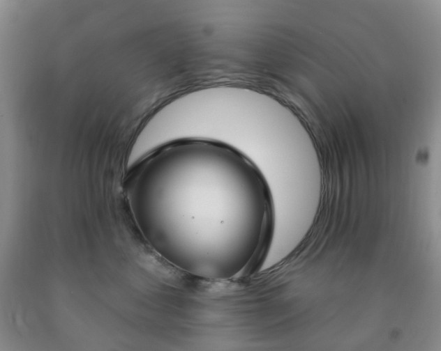 X0000091970621200709201406