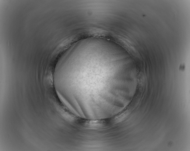 X0000091970622200709201406