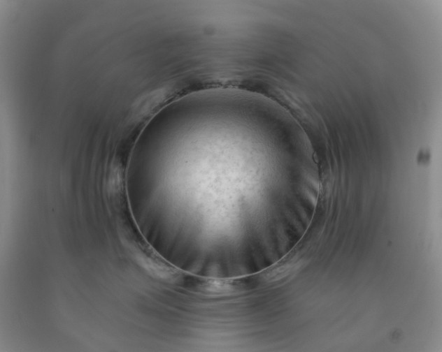 X0000091970623200709201406