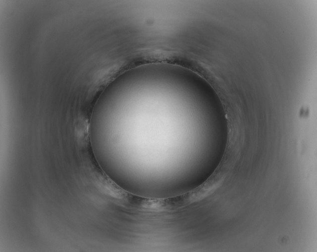 X0000091970624200709201406