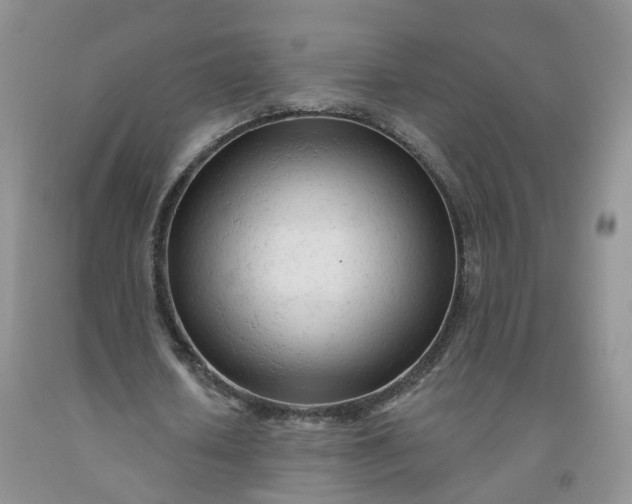 X0000091970626200709201406