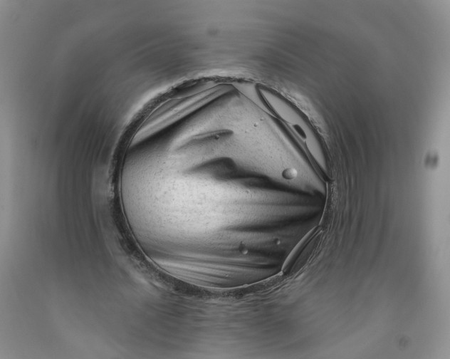 X0000091970628200709201406