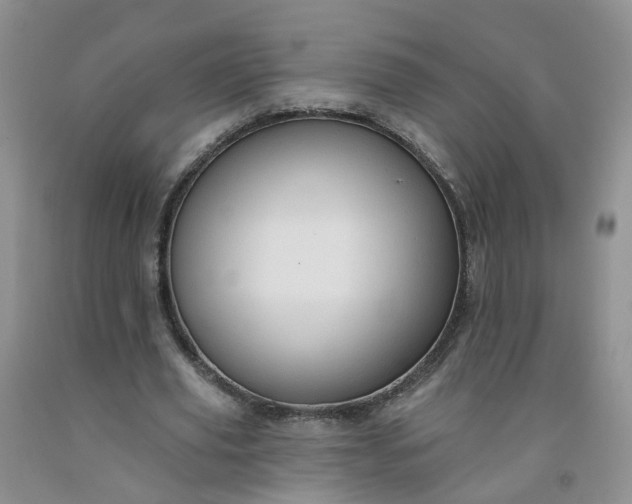 X0000091970629200709201406