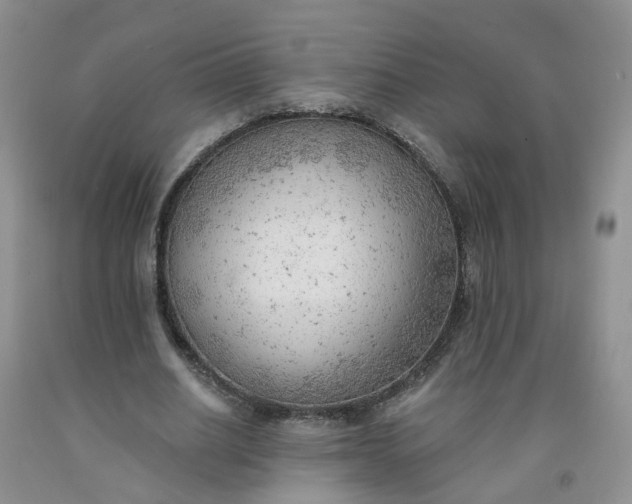 X0000091970630200709201406