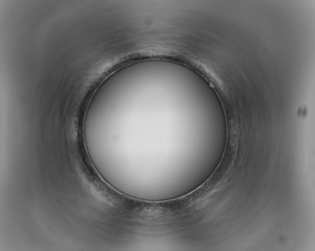 X0000091970631200709201406