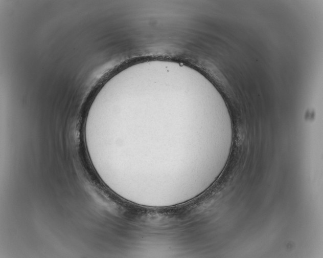 X0000091970632200709201406