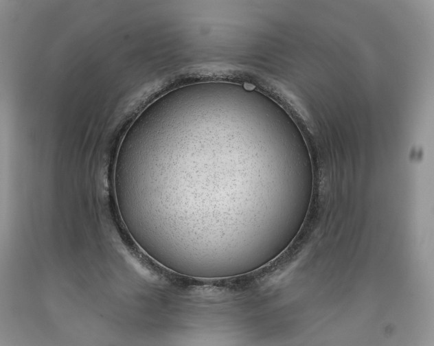 X0000091970633200709201406