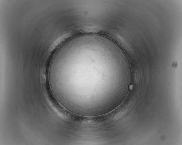 X0000091970634200709201406