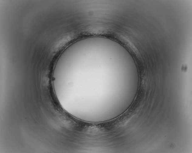 X0000091970635200709201406