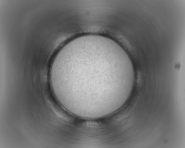 X0000091970636200709201406