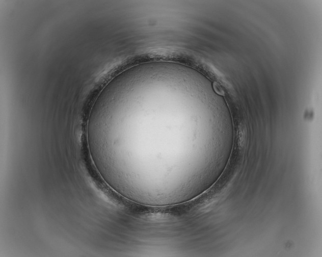 X0000091970637200709201406