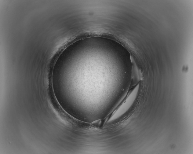 X0000091970638200709201406