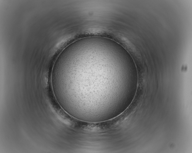 X0000091970640200709201406