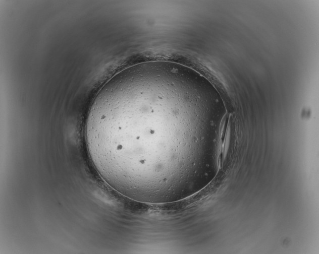 X0000091970641200709201406