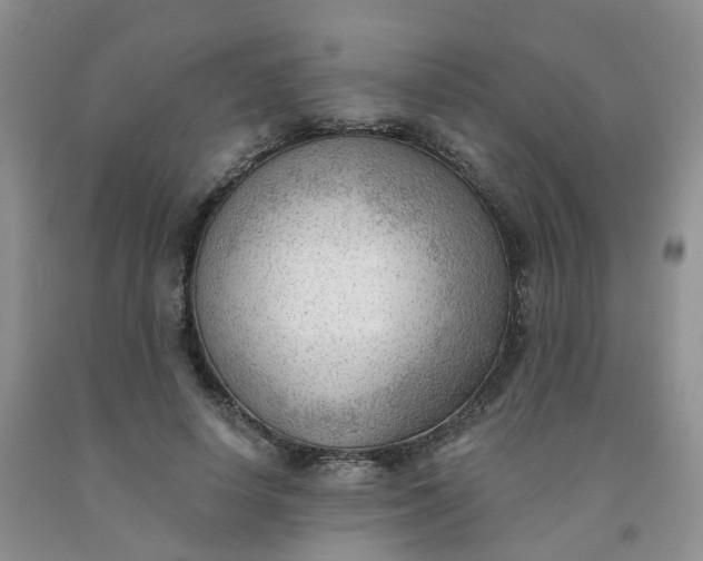 X0000091970642200709201406