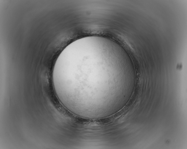 X0000091970643200709201406