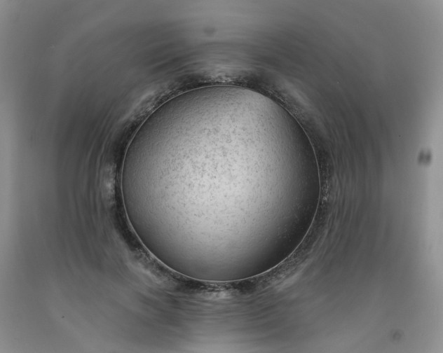 X0000091970646200709201406