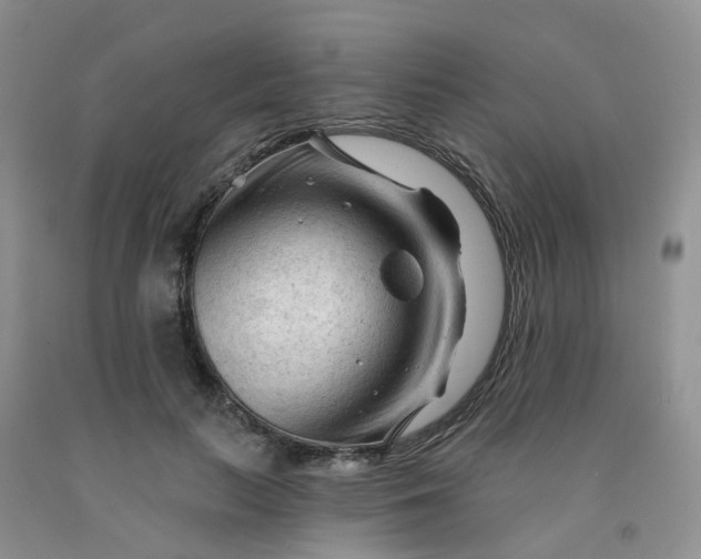 X0000091970647200709201406