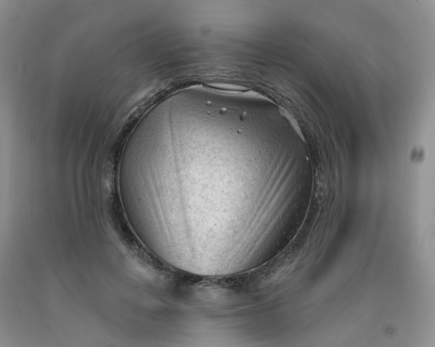 X0000091970648200709201406