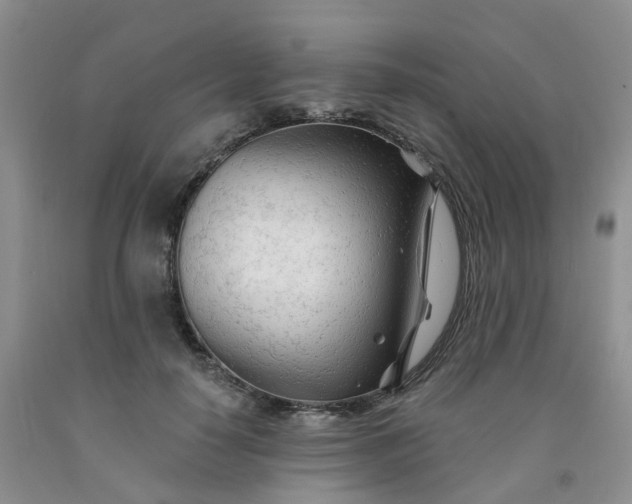 X0000091970650200709201406