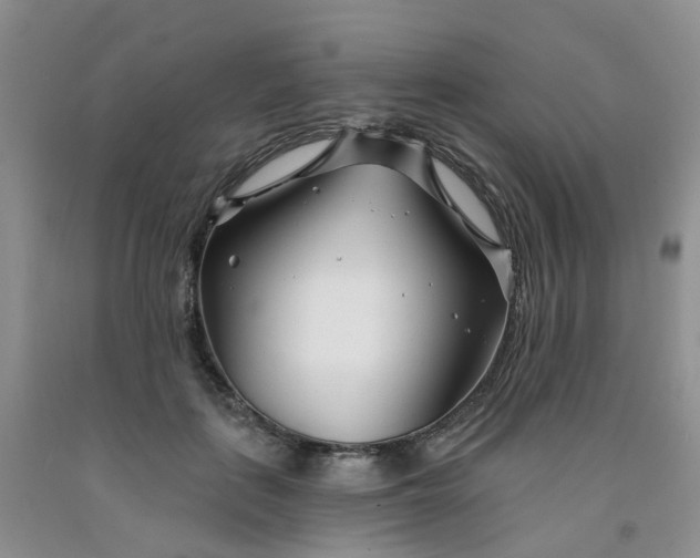 X0000091970651200709201406