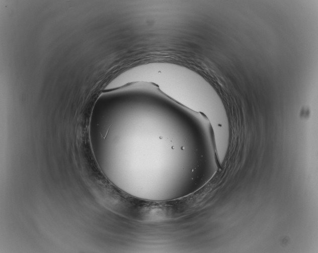 X0000091970655200709201406