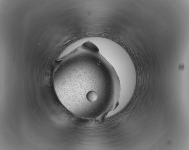 X0000091970656200709201406