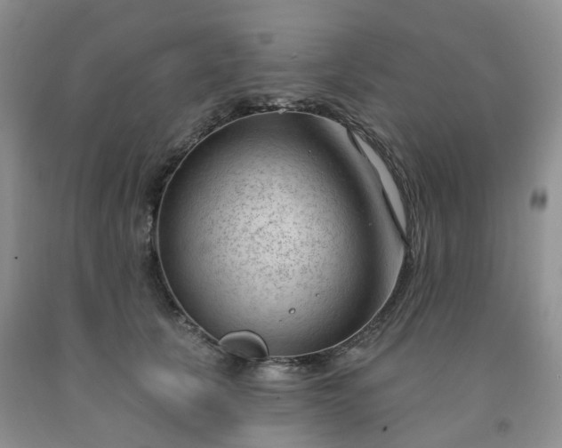 X0000091970657200709201406