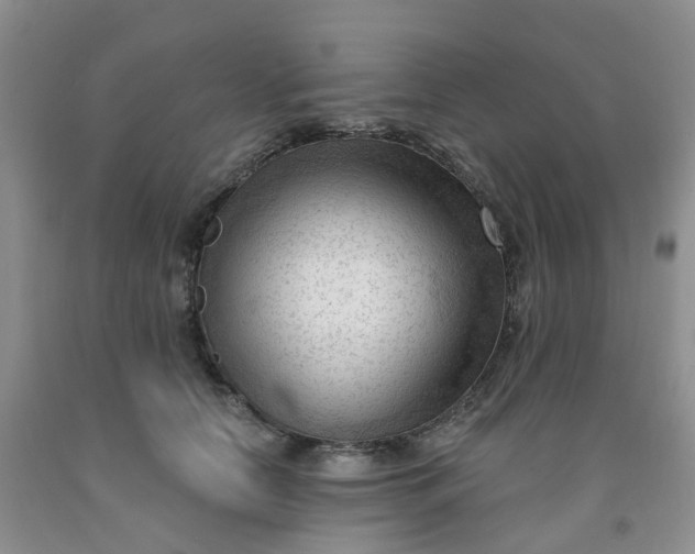 X0000091970658200709201406