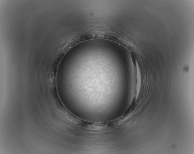 X0000091970661200709201406