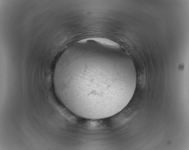 X0000091970662200709201406